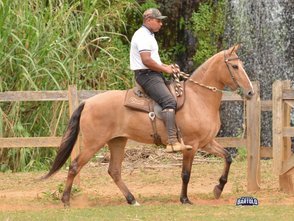 Ourofino em Campo” estreia no Canal Rural, Canal do Criador e Lance Rural