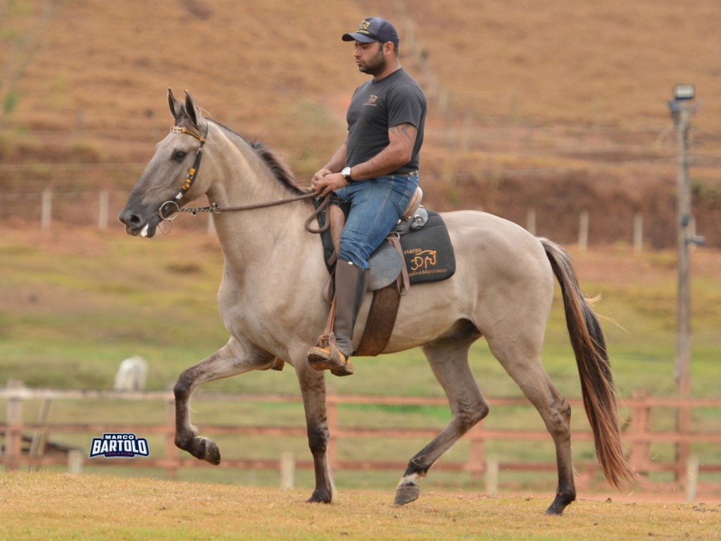 Ourofino em Campo” estreia no Canal Rural, Canal do Criador e Lance Rural