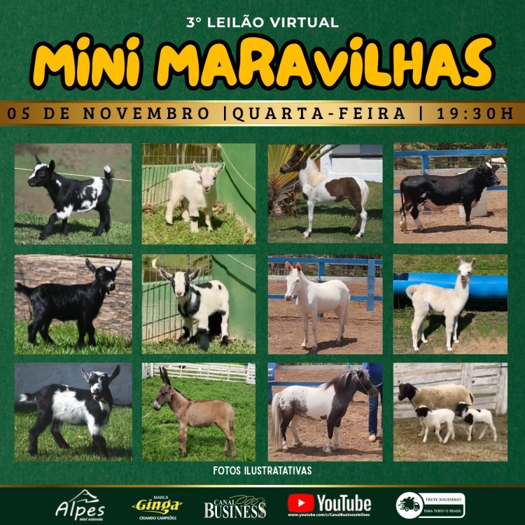 Agenda