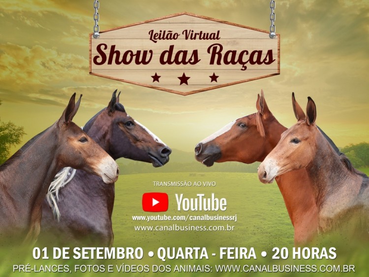 Agenda