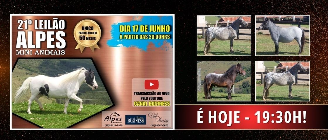 Slide 21° ALPES MINI ANIMAIS - É HOJE