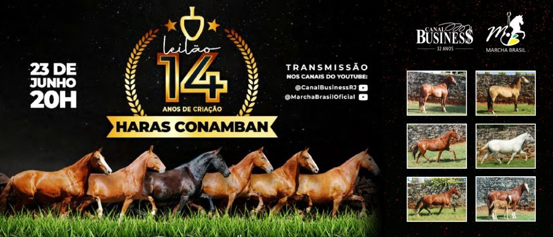 Slide LEILÃO 14 ANOS DE CRIAÇÃO-HARAS CONAMBAN