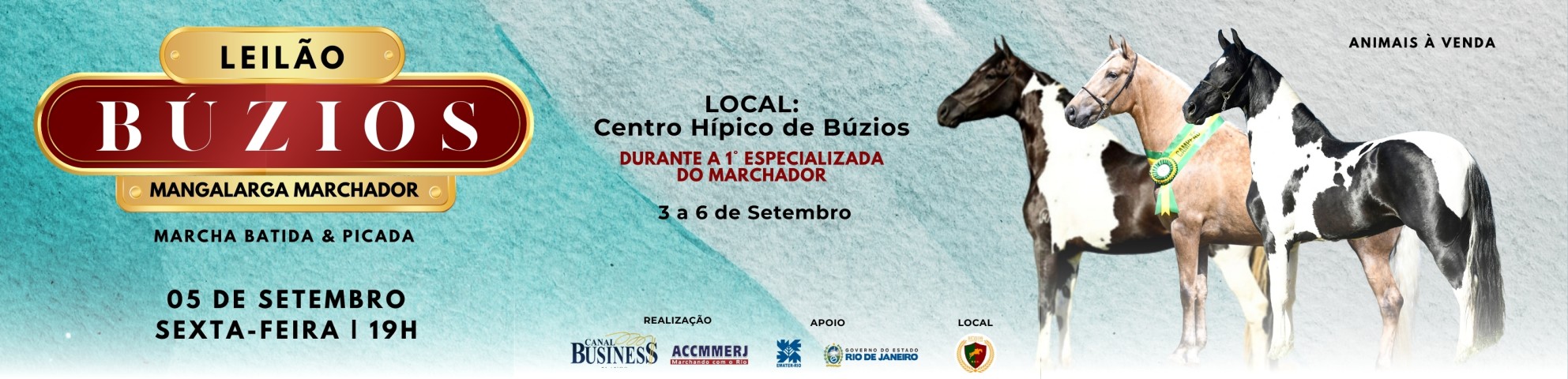 Slide LEILÃO BÚZIOS MANGALARGA MARCHADOR