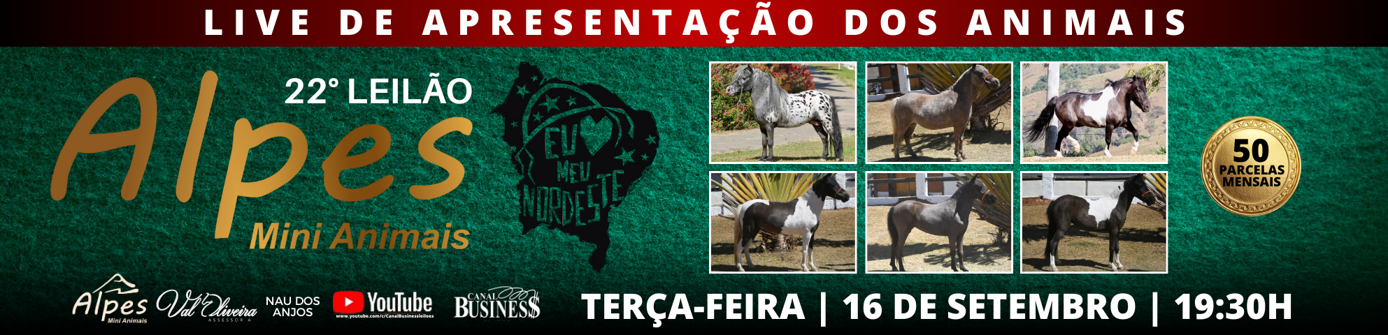 Slide LIVE DE APRESENTAÇÃO - ALPES MINI ANIMAIS
