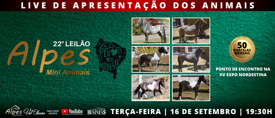 Slide LIVE DE APRESENTAÇÃO - ALPES MINI ANIMAIS