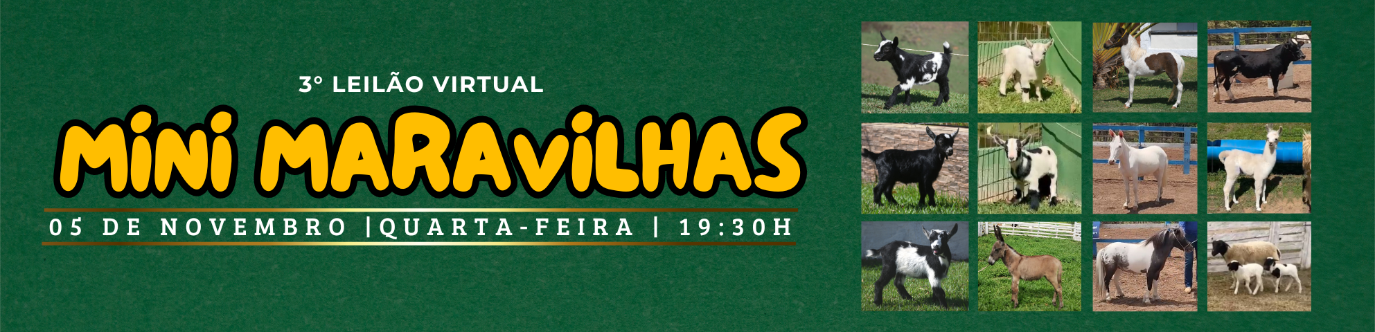 Slide 3° LEILÃO VIRTUAL MINI MARAVILHAS