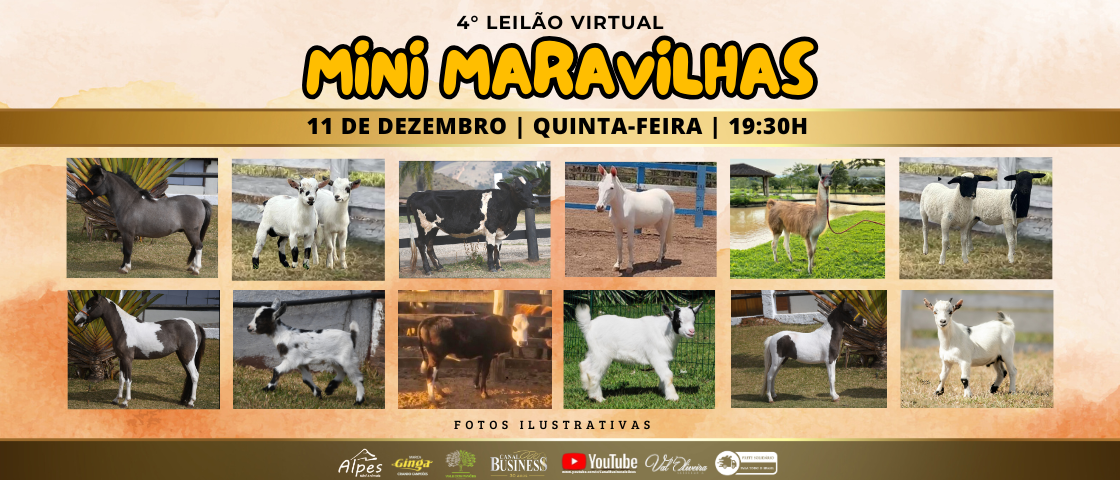 Slide 4° LEILÃO VIRTUAL MINI MARAVILHAS